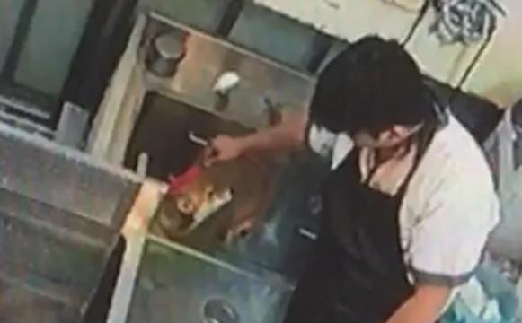 柴犬在宠物店美容一次需要多少钱？服务内容包括哪些？