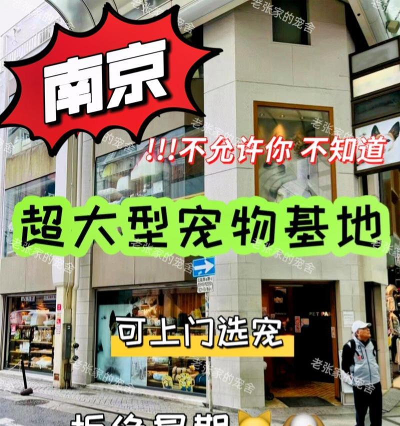 柴犬在宠物店美容一次需要多少钱？服务内容包括哪些？