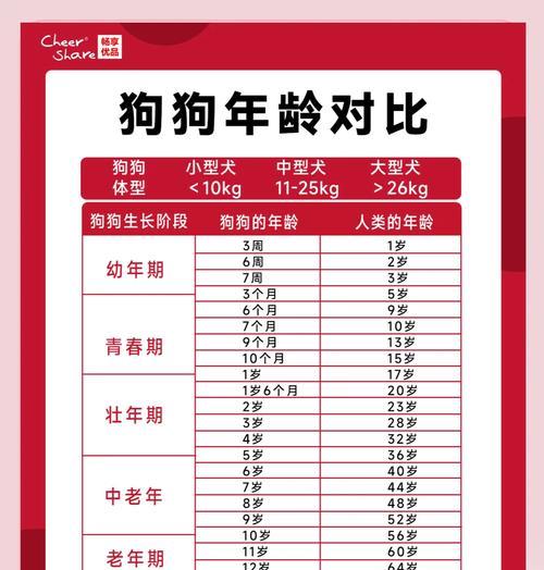 泰迪多少天长牙？狗狗牙齿发育的正常时间表是什么？