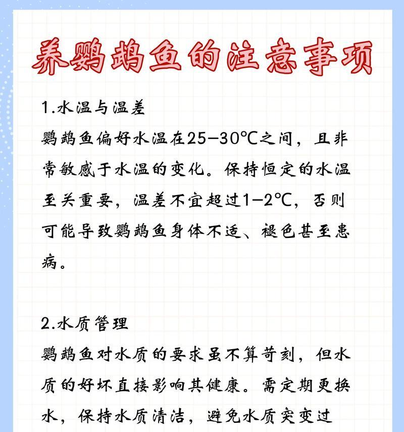 放鱼苗后需要喂什么？鱼苗初期饲养的正确方法是什么？