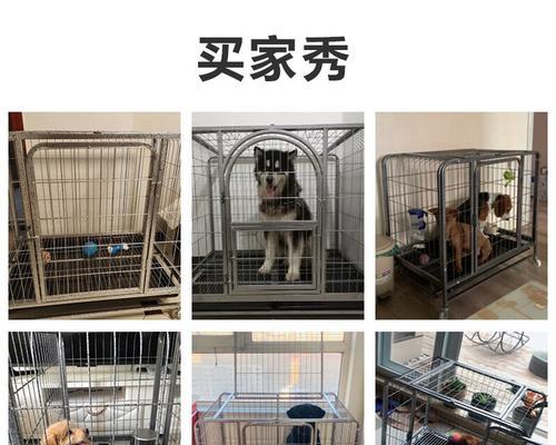 泰迪小型宠物笼两层价格是多少？如何选择？