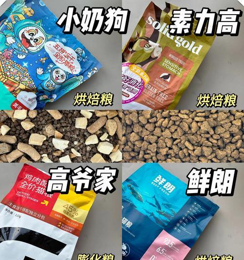 狗吃猫粮真的好吗？狗吃猫粮会有哪些反应？