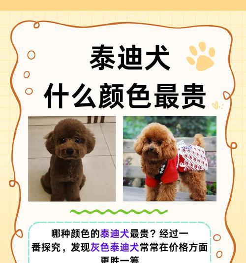 泰迪犬的理想体重是多少千克？如何判断泰迪是否过重或过轻？