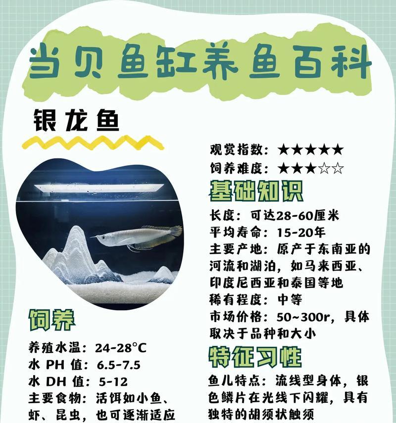 银龙鱼苗专用粮是什么意思啊？银龙鱼苗专用粮的定义和作用是什么？
