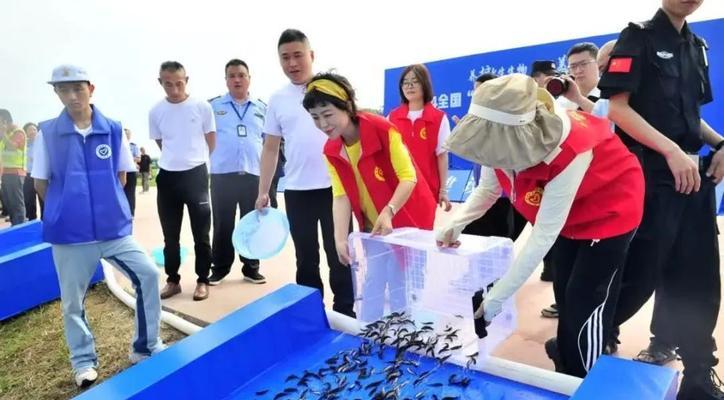 什么情况下不适合放鱼苗？放鱼苗的正确时机是什么？