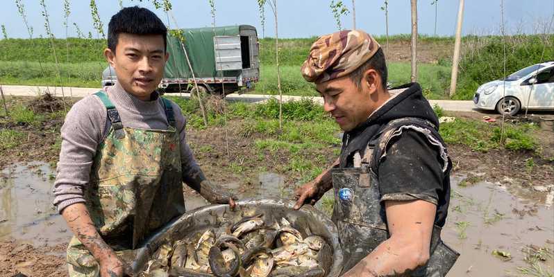 什么情况下不适合放鱼苗？放鱼苗的正确时机是什么？