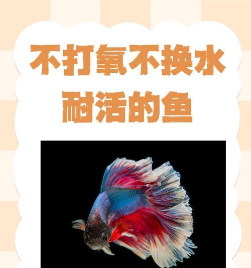 什么情况下不适合放鱼苗？放鱼苗的正确时机是什么？