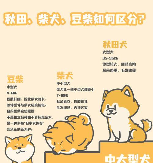 晚上买的柴犬能养活吗？价格是多少？