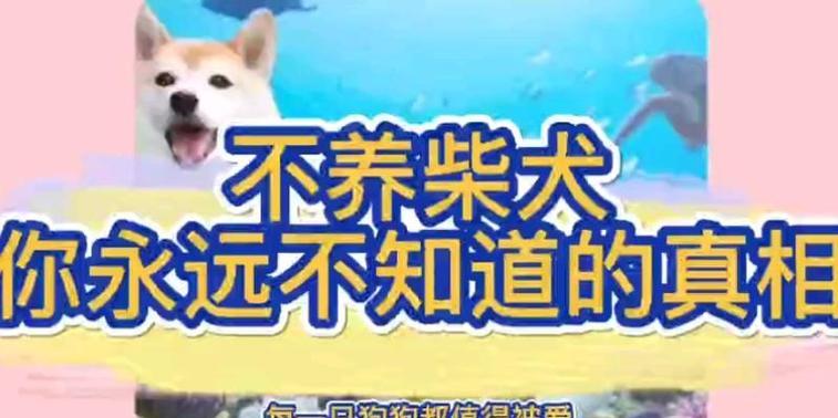 晚上买的柴犬能养活吗？价格是多少？