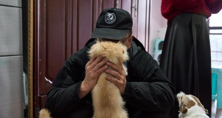 哪些小型猫咪犬最容易训练？