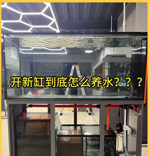 蝴蝶鲤的催鱼苗饲料推荐是什么？如何正确喂食？