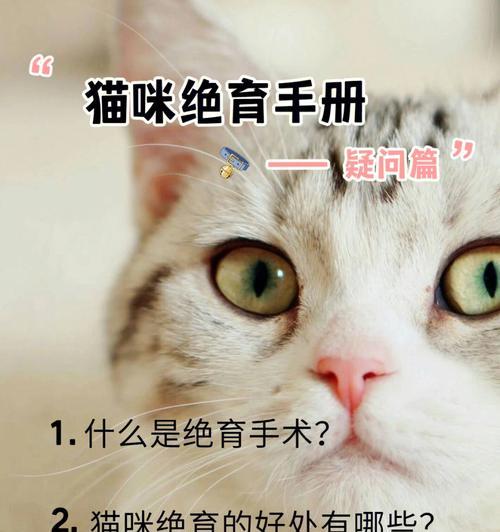 小型犬不绝育有哪些危害？绝育的好处是什么？
