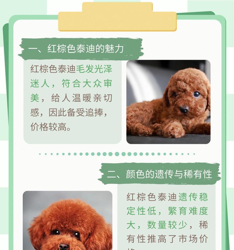 剃半边毛泰迪的费用是多少？剃毛对泰迪健康有何影响？