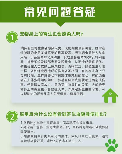 泰迪内服驱虫药的剂量是多少？如何正确给泰迪驱虫？