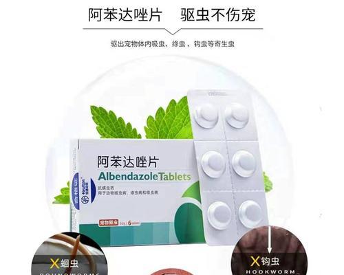 泰迪内服驱虫药的剂量是多少？如何正确给泰迪驱虫？
