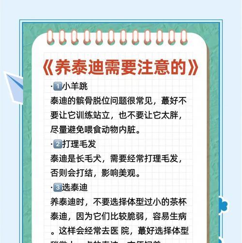 养泰迪犬每月成本多少？如何合理预算？