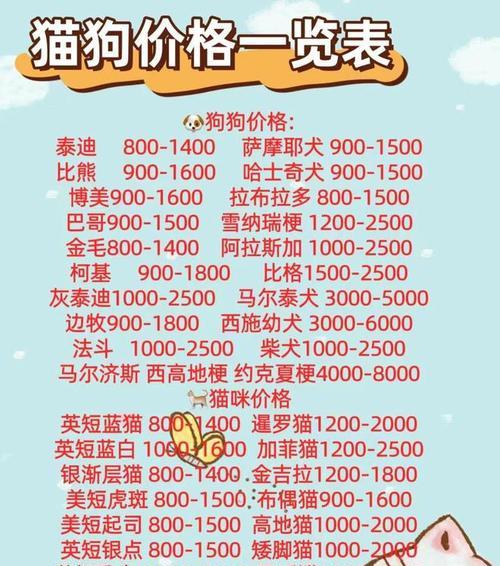 岳阳君山泰迪出售价格是多少？购买时需要考虑哪些因素？