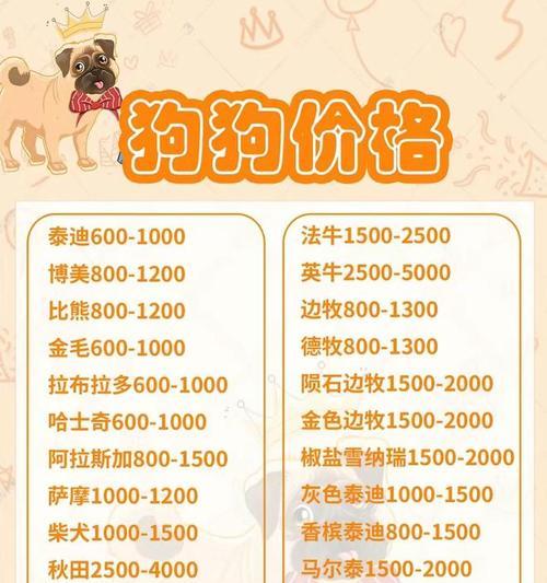 宠物店泰迪成精多少钱啊？泰迪成精的含义和表现是什么？