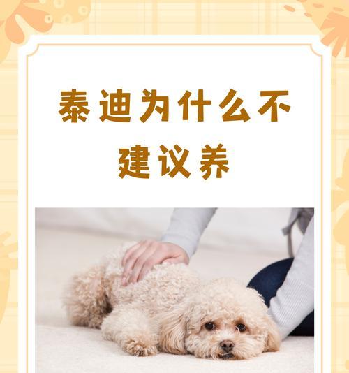 泰迪剃毛剃光光需要多少钱？剃毛后如何护理？