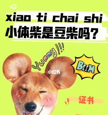 柴犬体型检查多少钱？定期检查的重要性是什么？