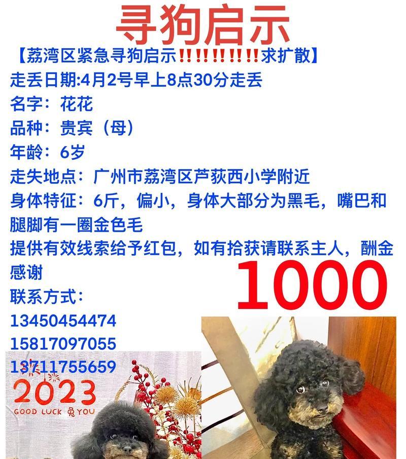 泰迪染毛需要多少钱？染毛过程中应注意什么？
