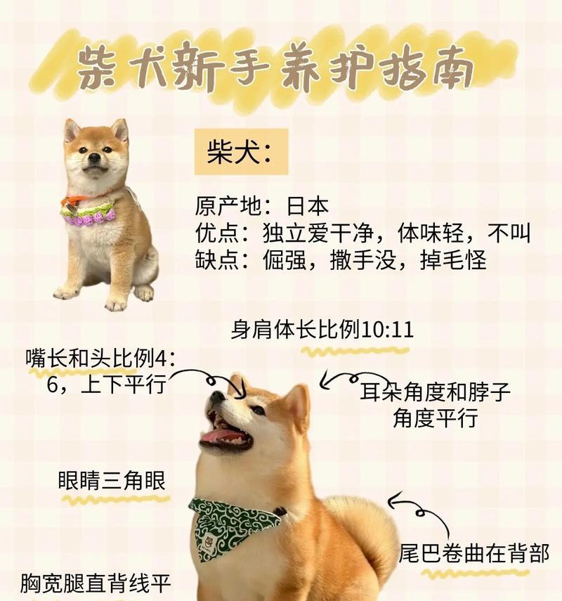 柴犬的体重上限是多少公斤？