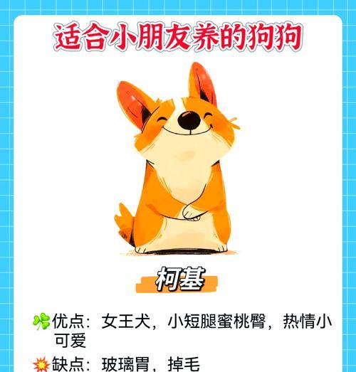 哪些小型宠物犬既卫生又易养？
