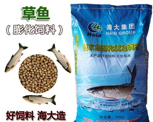 1米2龙鱼苗应喂食什么饲料？选择饲料时应注意哪些事项？