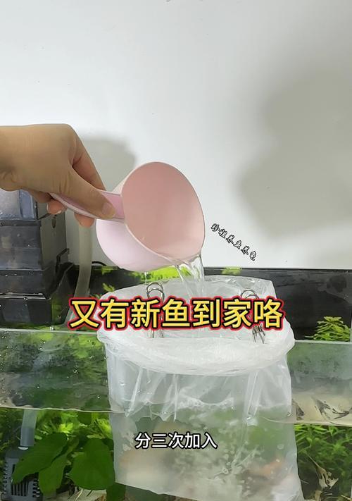 黑鱼苗在过温过水时为何容易死亡？