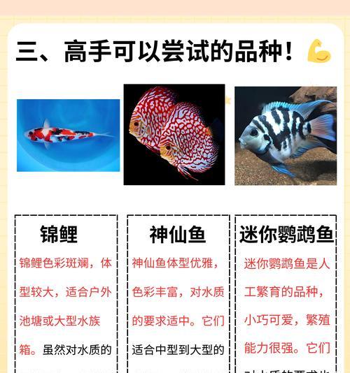 水草鱼缸鱼苗喂什么饲料？如何确保营养均衡？