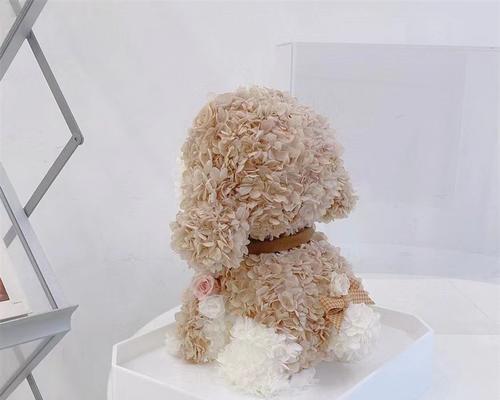 永生花泰迪批发价格是多少？购买时需要注意什么？