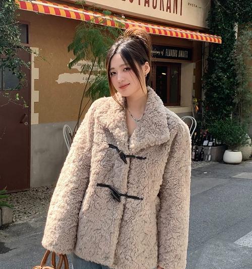 小款泰迪毛毛外套价格是多少？哪里可以买到？