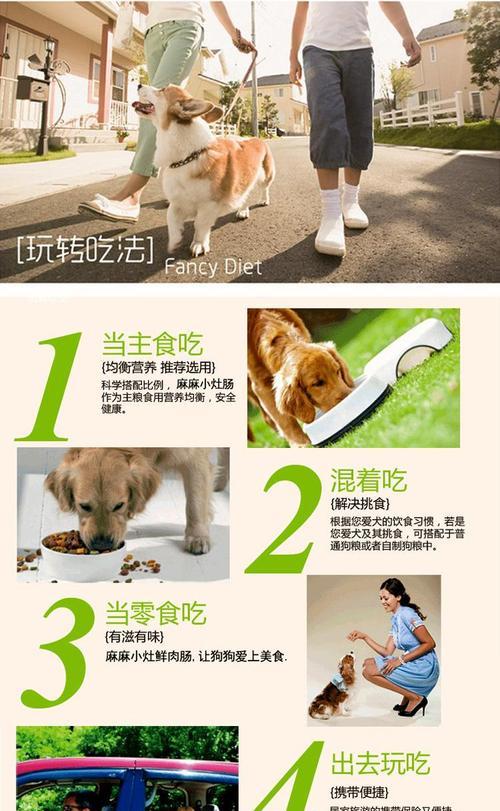 满月泰迪吃火腿肠的正确量是多少？如何避免过量喂食？