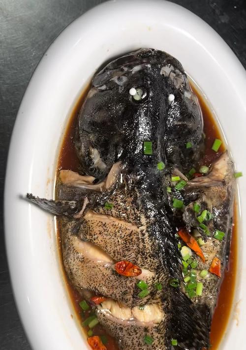 七星斑鱼苗的正确食物是什么？如何喂养才能健康成长？