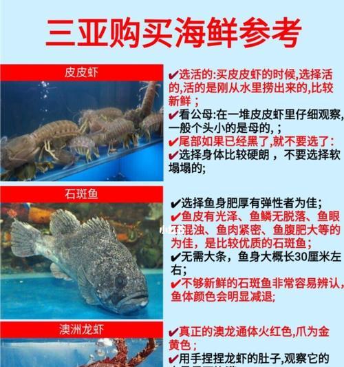 七星斑鱼苗的正确食物是什么？如何喂养才能健康成长？