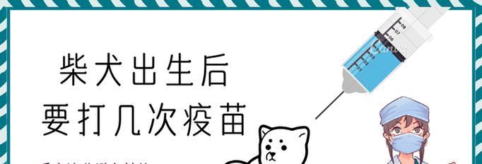 给豆柴犬接种疫苗的费用是多少？需要接种哪些疫苗？