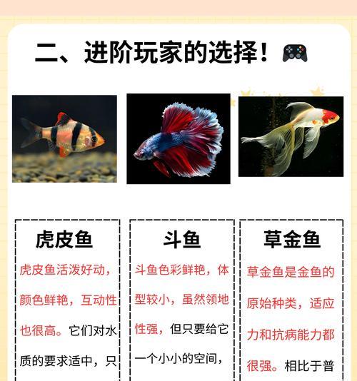 鱼苗能藏在红线虫里吗？鱼苗藏在红线虫里的原因是什么？