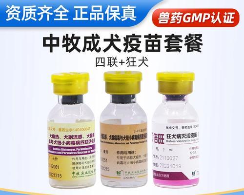 狗泰迪打疫苗需要多少钱？几联疫苗最适合？