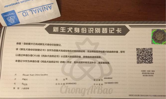 柴犬在宠物店的收购价格是多少？按月计算的费用是多少？