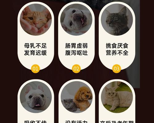 泰迪犬可以喝奶粉吗？喝奶粉的费用大概是多少？