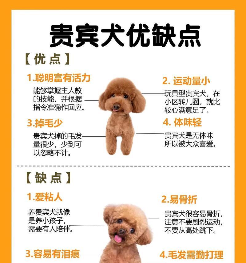 泰迪犬可以喝奶粉吗？喝奶粉的费用大概是多少？