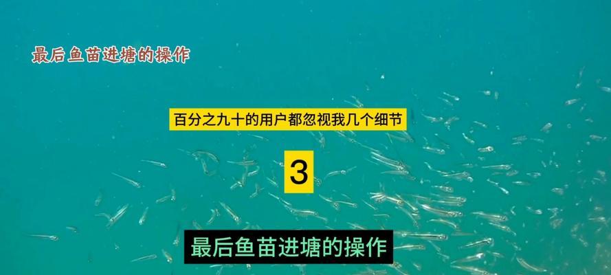 繁殖鱼苗需要注意什么事项？如何提高成活率？
