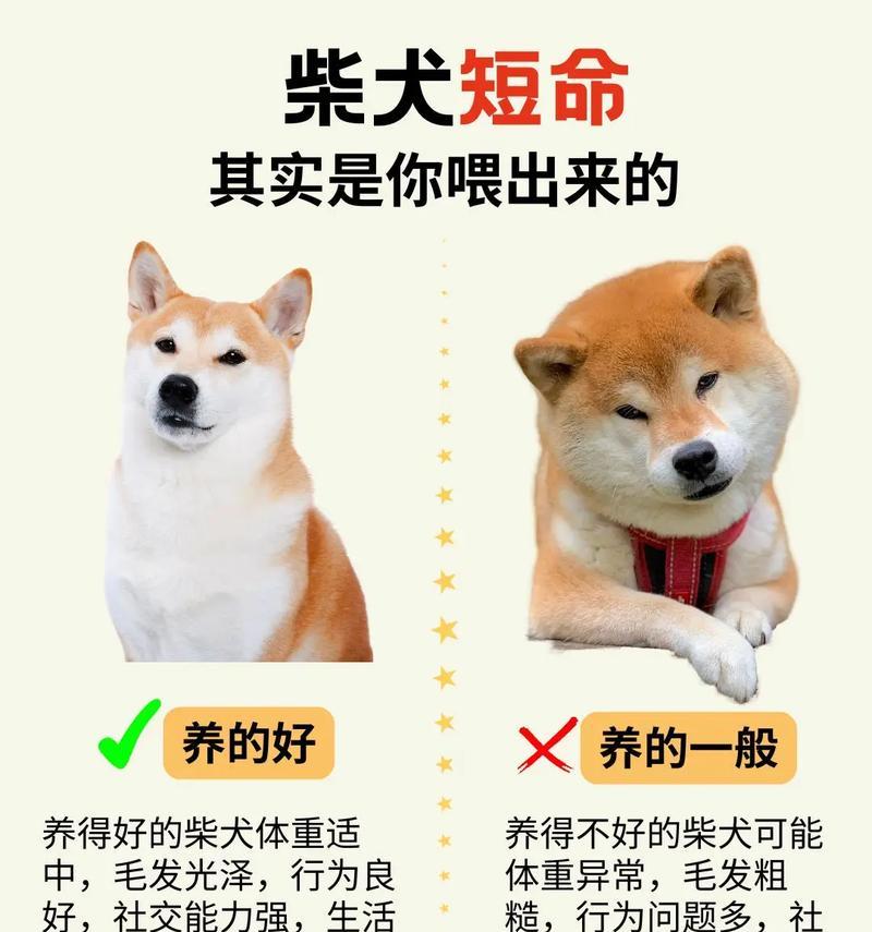 柴犬两个半月一顿应该喂多少？喂食量如何控制？