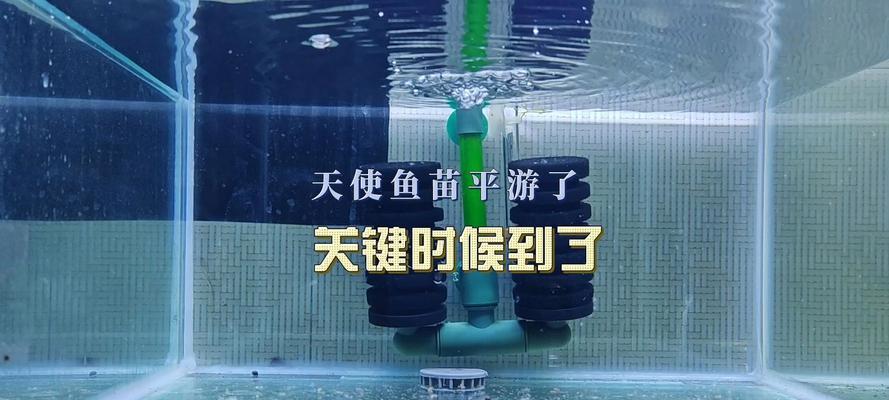 武汉海天鱼苗事件的详细情况是什么？事件对行业有何影响？