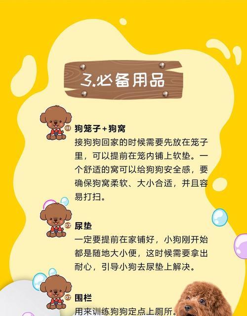 泰迪几个月可以打疫苗？打疫苗的费用是多少？