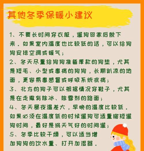 短毛狗小型犬衣服品牌有哪些？如何为短毛小型犬选择合适的衣服？