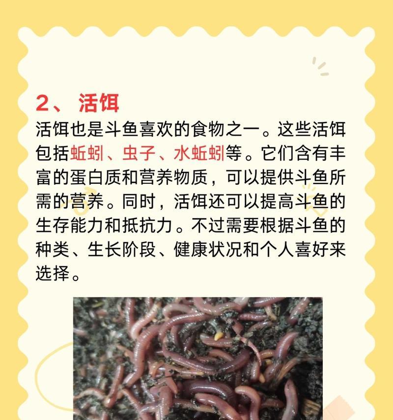 斗鱼苗都能吃什么东西呢？斗鱼苗的正确喂养方法是什么？
