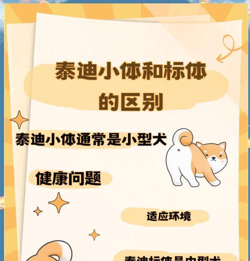 小标体泰迪多少斤？泰迪的体重标准是多少？