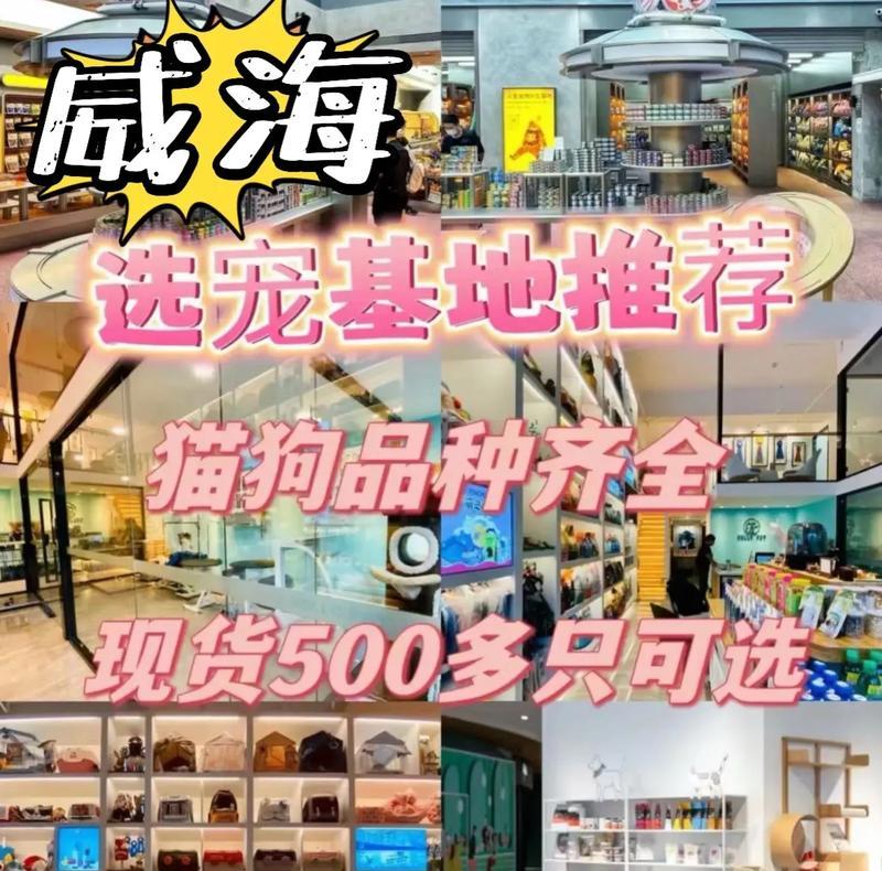 威海哪里可以找到大型犬买卖平台？