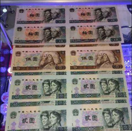 徐州柴犬的价格是多少人民币？